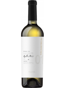 Valahorum Pinot Gris 2018 | Dragasani